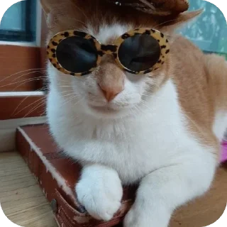 😎 Свэг, Telegram sticker 15 of 88