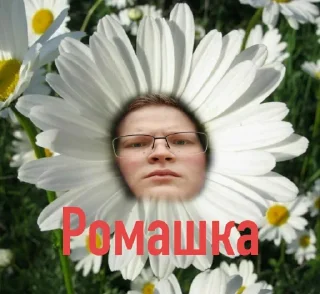 🌼 Рома в состоянии кринжа, Telegram sticker 15 of 87
