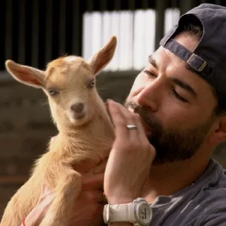 🐐 Козлы @freetopsticker, sticker Telegram 7 sur 40