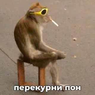 🥵 ПОНчики @eternl7, sticker Telegram 7 sur 24