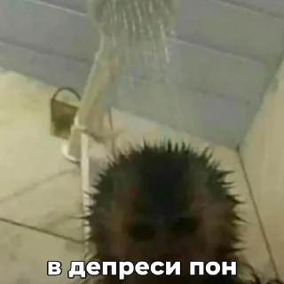 😐 ПОНчики @eternl7, sticker Telegram 2 sur 24