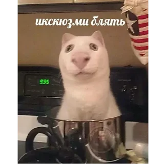 🗿 доброта твоего рта ☺️, Telegram sticker 7 of 82