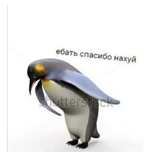 🗿 доброта твоего рта ☺️, Telegram sticker 16 of 82