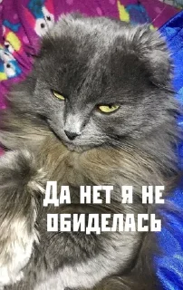 🤡 Муся, стикер Telegram 19 из 38
