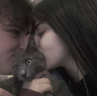 💌 Мяу, стикер Telegram 15 из 20