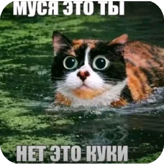 🫥 Mysia, Telegram sticker 16 of 58
