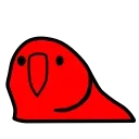 parrot 🦜