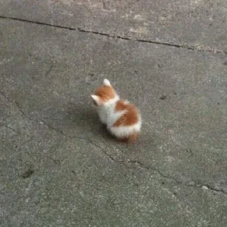 😞 Котейки, стикер Telegram 16 из 20
