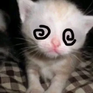 🐈 котейки, стикер Telegram 5 из 16