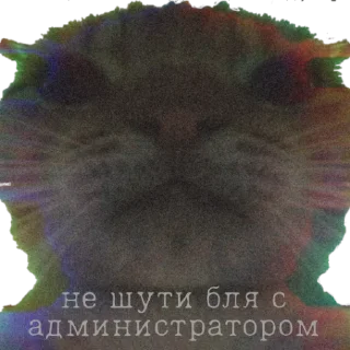 😡 Юфи зол..., Telegram sticker 11 of 23