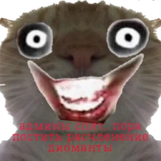 ☺ Юфи зол..., Telegram sticker 6 of 23