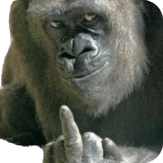 🌟 викусик на связи, Telegram sticker 11 of 59