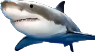 🦈 белиберда, стікер Telegram 22 з 114