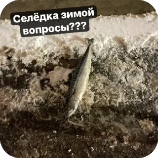 🫥 Белиберда, стікер Telegram 18 з 65