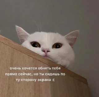 ❤️ Ня, Telegram sticker 4 of 11