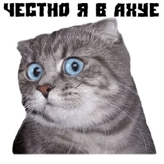 😨 Ня, Telegram sticker 1 of 11