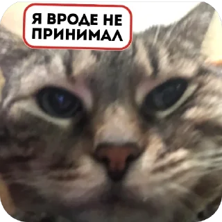 👏 покойся с миром, sticker Telegram 7 sur 21