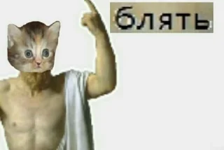 🌟 котытытытыт, sticker Telegram 20 sur 80