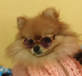 Мichelle