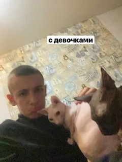 🌟 суетная, Telegram sticker 20 of 96
