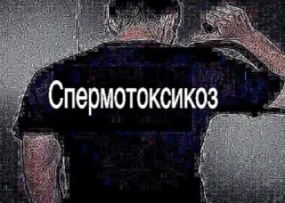 🤧 я фанатка сулима, sticker Telegram 19 sur 36