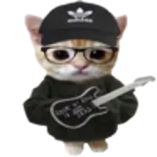 🐈 Котики, стикер Telegram 21 из 85