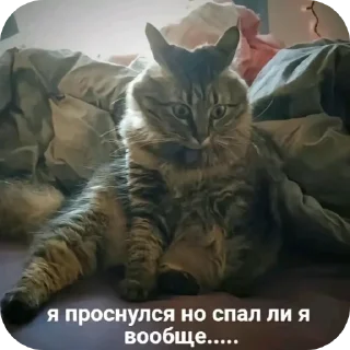 🙂 Родное @Rostiksuper, sticker Telegram 18 sur 120