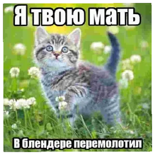 🥰 несса терпила, sticker Telegram 9 sur 41