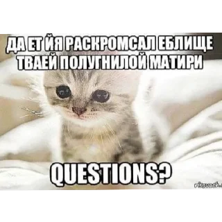 😷 несса терпила, sticker Telegram 17 sur 41