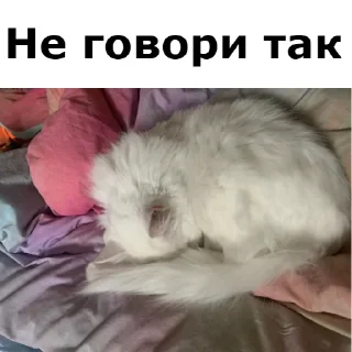 😓 Кот Красавчик, sticker Telegram 22 sur 91