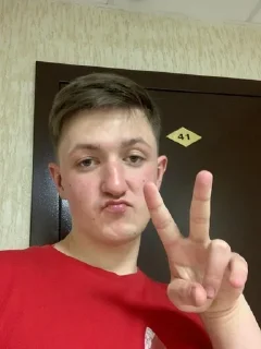 ✌️ ViedMereSidle, стікер Telegram 11 з 35