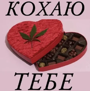 ❤️ Наркотики убивают, sticker Telegram 23 sur 48