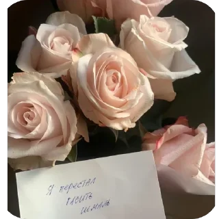 🫥 𝓈ℯ𝓍𝓎’𝒷𝓇𝓊𝓃ℯ𝓉𝓉ℯ, стикер Telegram 6 из 96