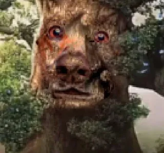 🌳 Мудрый дуб, sticker Telegram 23 sur 60