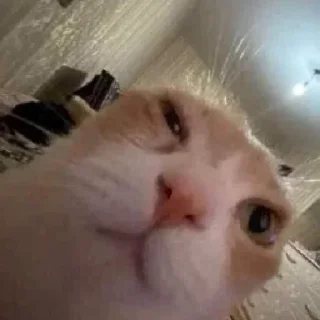 😪 стикеры мега хайпа 🕺🏼, Telegram sticker 21 of 120