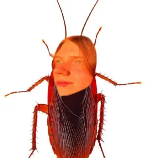 🐞 ярик рыжи, Telegram sticker 23 of 31