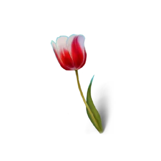 💐 Цветы КР @devil_yulia, стікер Telegram 9 з 21