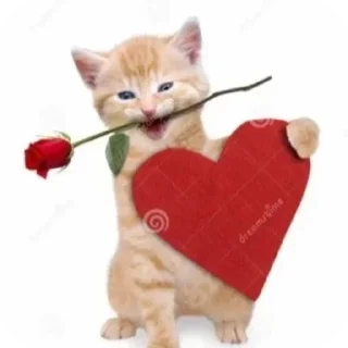 ❤ :3, sticker Telegram 15 sur 42