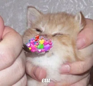 💗 love you💗, стікер Telegram 6 з 54