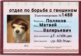 🤩 Залетай в @ShitStikers, Telegram sticker 15 of 19