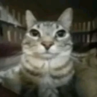 🌟 Рандом💀💀💀, стікер Telegram 2 з 40