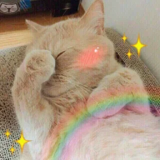 👽 Котики, Telegram sticker 13 of 24