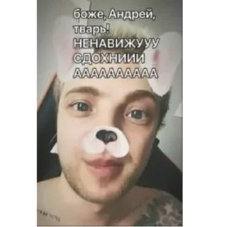 🐶 Рандом, стикер Telegram 24 из 84