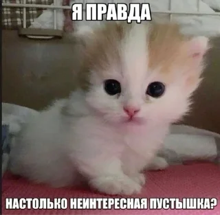 🌟 А я на морі :: @Damkca @fStikBot, стикер Telegram 12 из 50