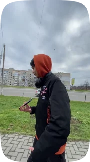 майотик