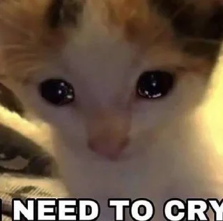 🌟 котики і все інше, sticker Telegram 8 sur 77