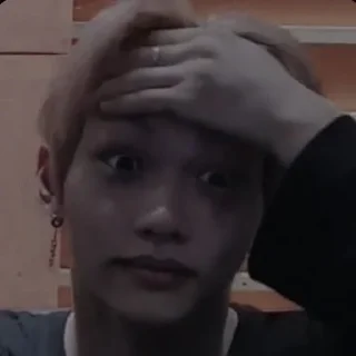 🐤 Felix, sticker Telegram 6 sur 68