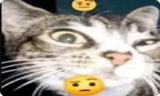 Лëшайит