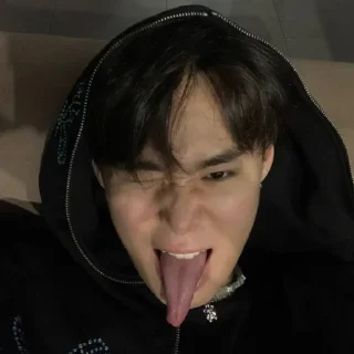 😜 СТАСИК, sticker Telegram 16 sur 41