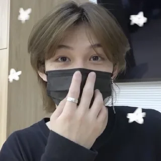 🌟 stray kids, sticker Telegram 20 sur 48